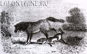 Макоо карышкыр