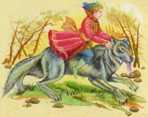 Карышкырдын камкордугу