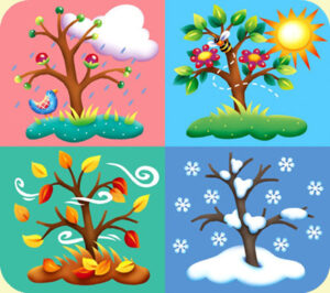 Жылдын төрт мезгили жөнүндө болумуш