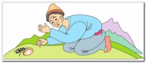 Кумурска менен жалкоо