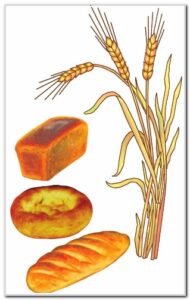 БАБА ДЫЙКАН