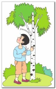 Дарак ыйлайбы?