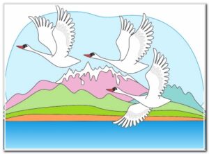 Бала жана ак куулар