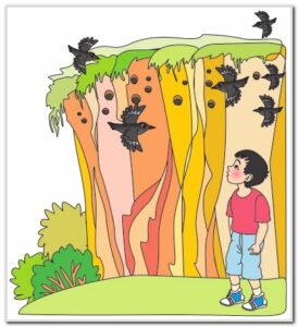 Мээримдүү канаттуулар