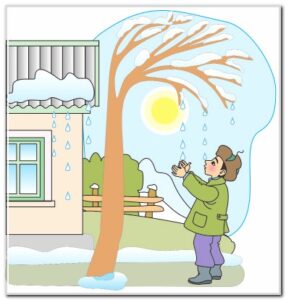 КЫШ ЭМНЕ ҮЧҮН ЖАШЫН ТӨКТҮ?