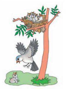 Эненин журогу