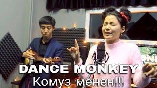 НурЧолпон - Dance monkey cove