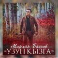 Мирлан Баеков - Узун кызга тексти