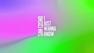 Sam Cosmo - I JUST WANNA KNOW тексти 1