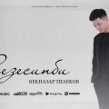 сезесинби