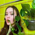 баары-бир